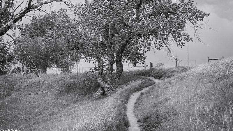 Không gian trà đạo tối giản tại nhà