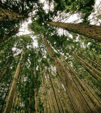 Craft Beer 2026 Trend 2