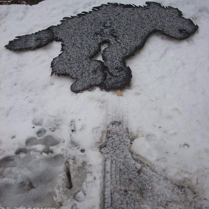 Cân điện tử theo dõi sức khỏe Moaz BéBé MB-031