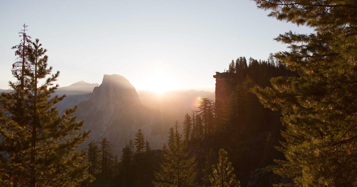 Hướng dẫn tạo website chuyên nghiệp trong 5 phút với công nghệ thiết kế website tự động BrandBoost