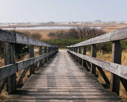 Holographic cocktail visual