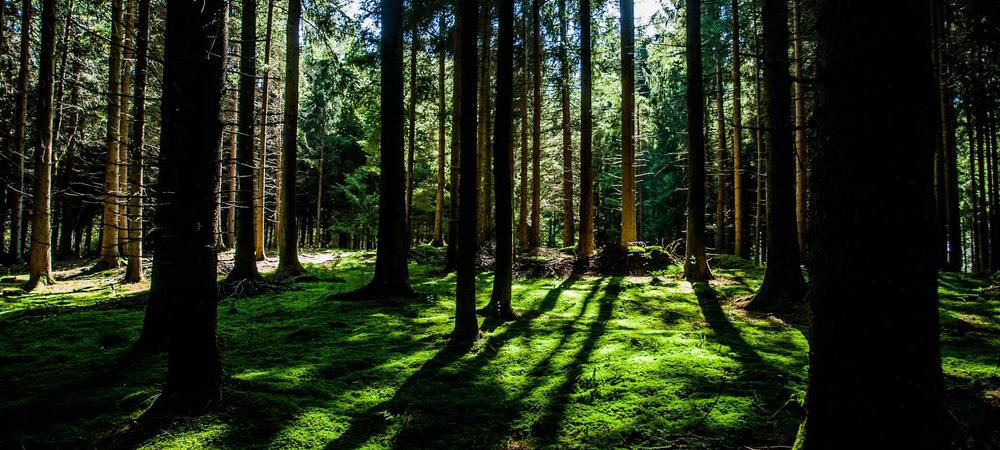 Warehouse Automation 2026