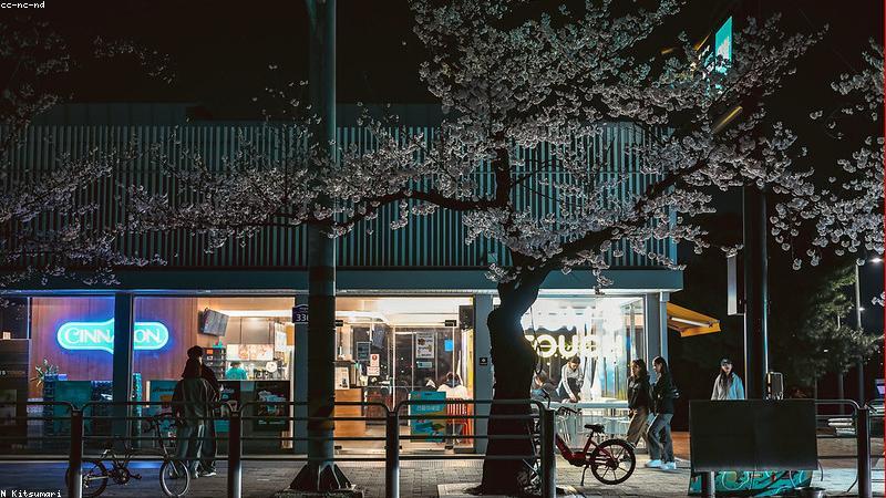 Cửa hàng VisionCare VN