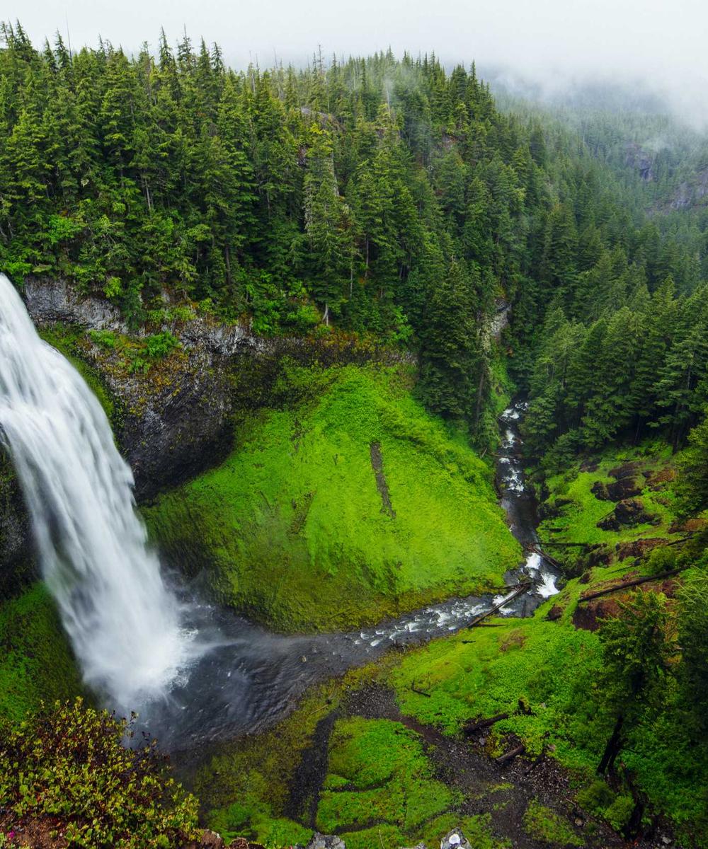 Du lịch xe lăn tại Vịnh Hạ Long