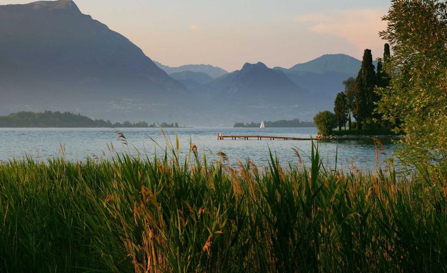 Công nghệ Peptide 2026