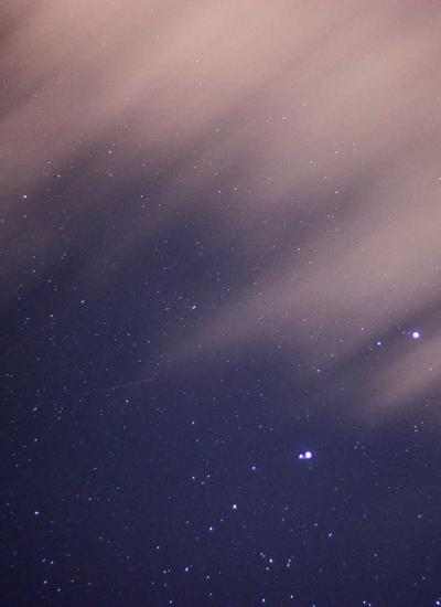 Quần ống suông silk 2026