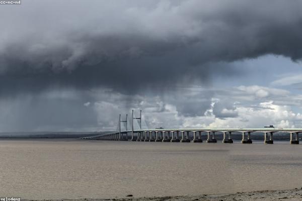 Royal Canin Indoor Benefits