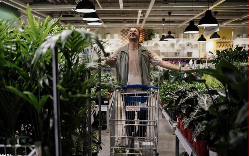 Thành phần thảo dược tự nhiên