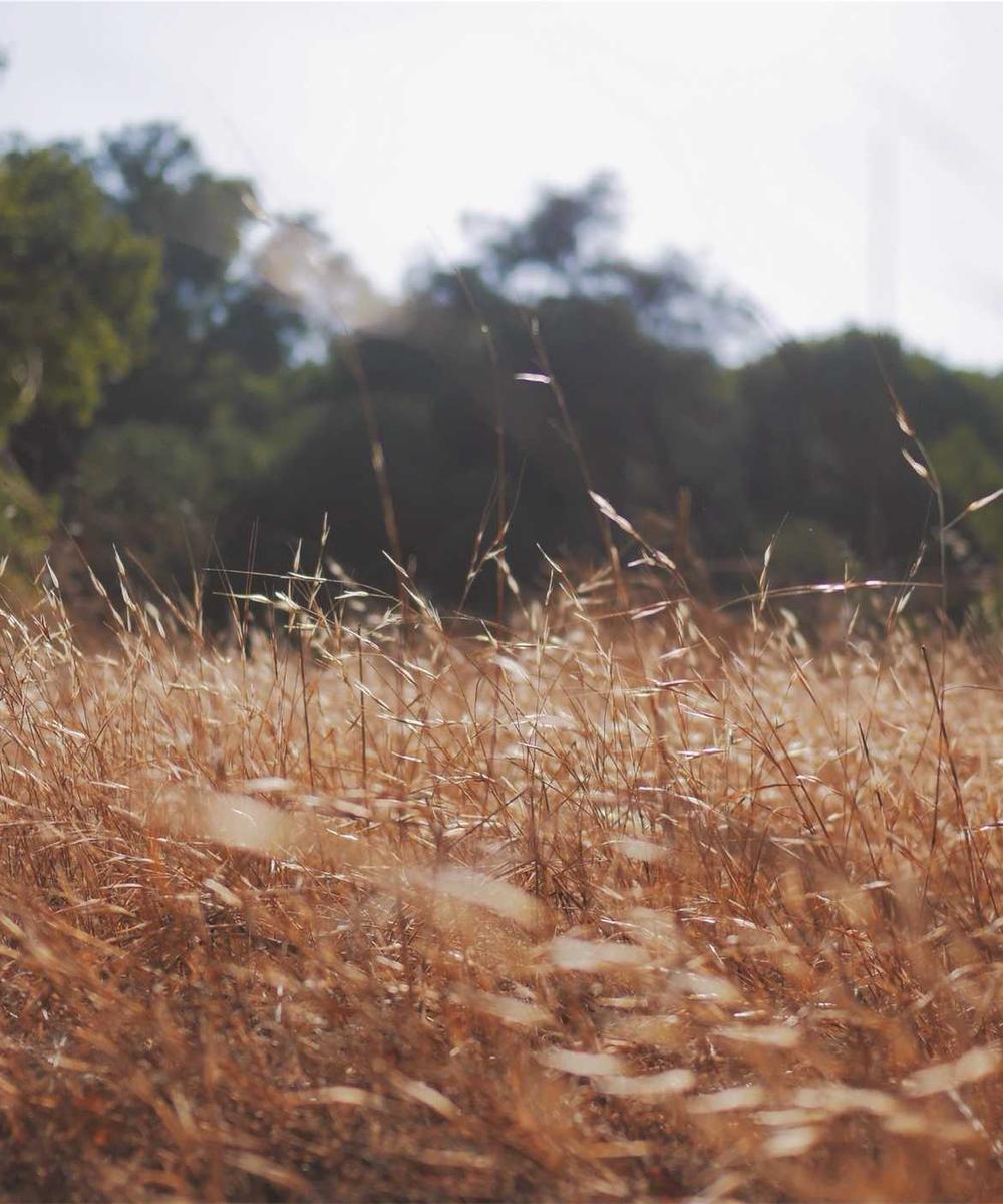 Sustainable Textiles - Interview with bio-material designer