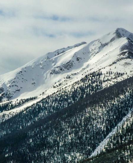 Privated Matchmaking 2026