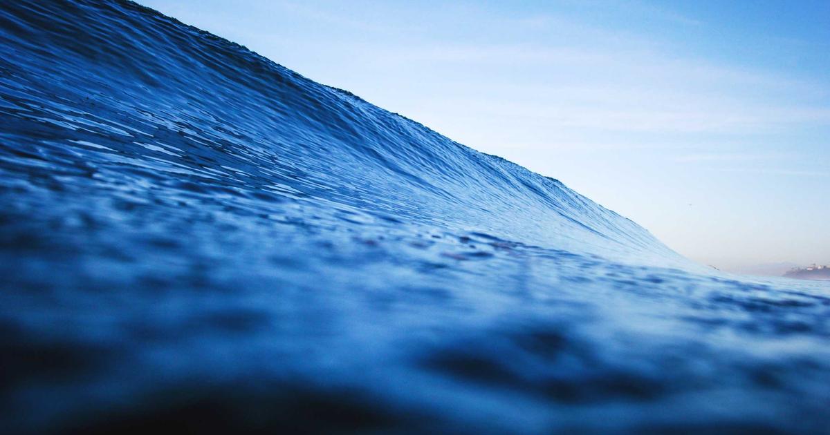 Phân tích giá trị dinh dưỡng của rau vườn tự nhiên trong thực đơn Rustic Farm Table