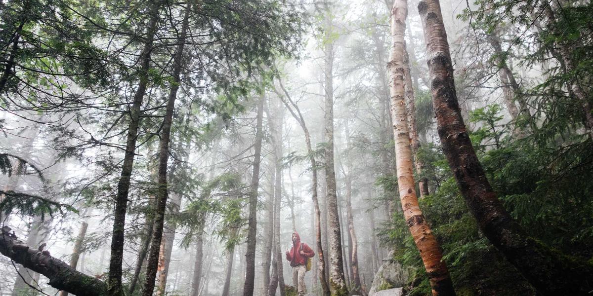 Tương lai công nghệ Apple