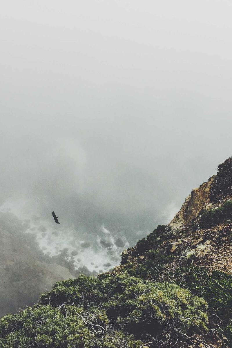 Sustainable Accessory 2026