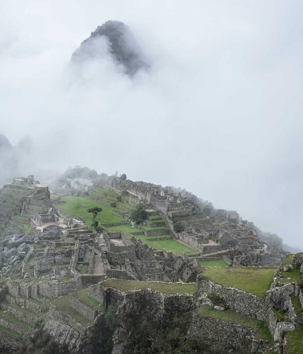 Phục hồi giày hiệu