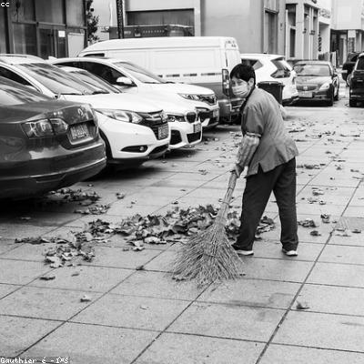 Mặt nạ tóc thảo mộc