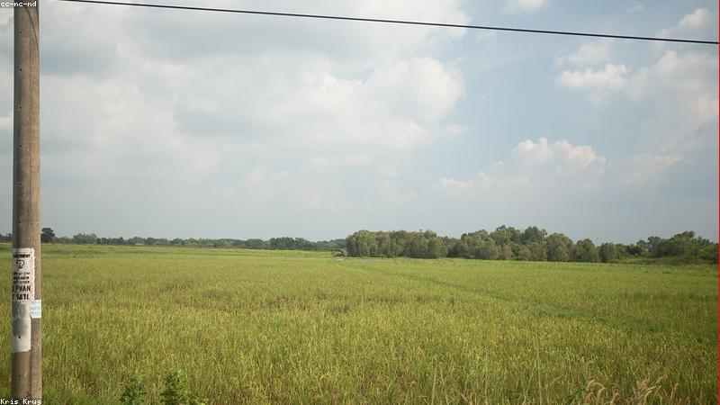 Bảng tính lương tự động