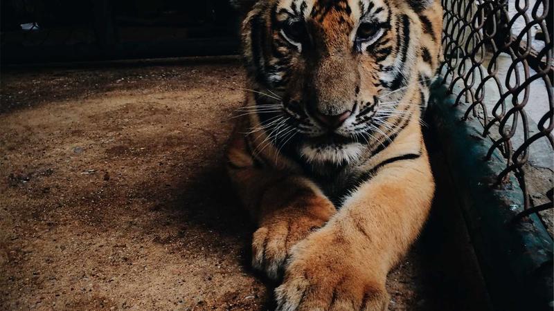 Security Data Visualization