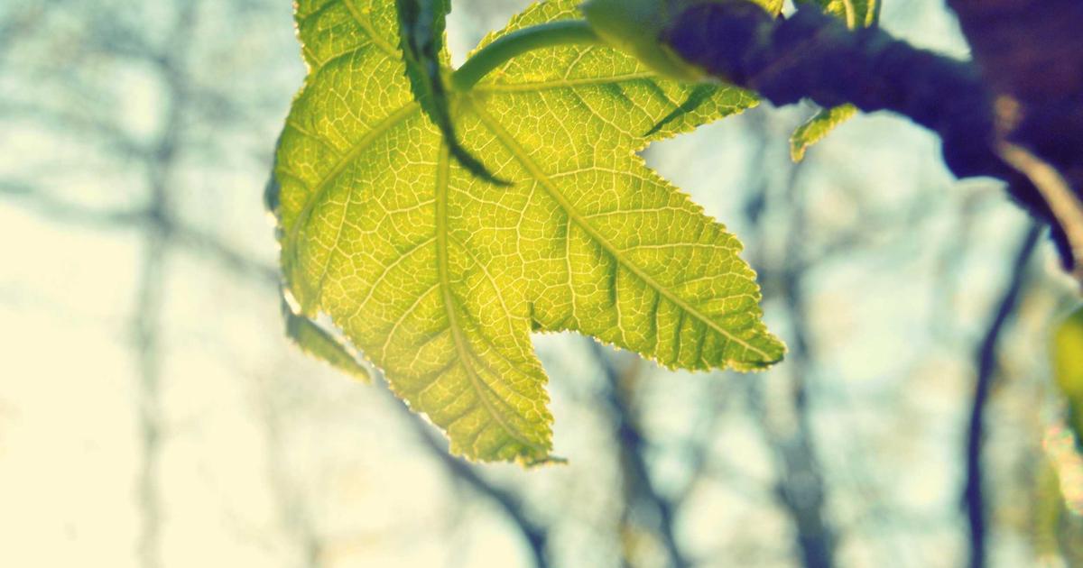 Case Study: Hành Trình X2 Doanh Thu Homestay Phố Cổ Nhờ Tái Cấu Trúc Nội Thất Và Marketing