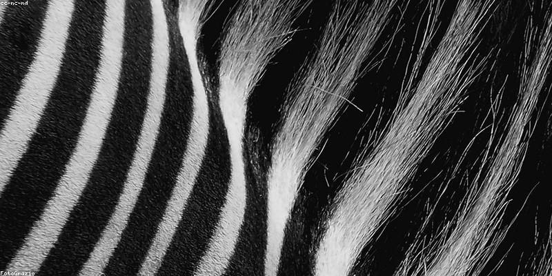 Quy luật màu sắc và hình khối Lego