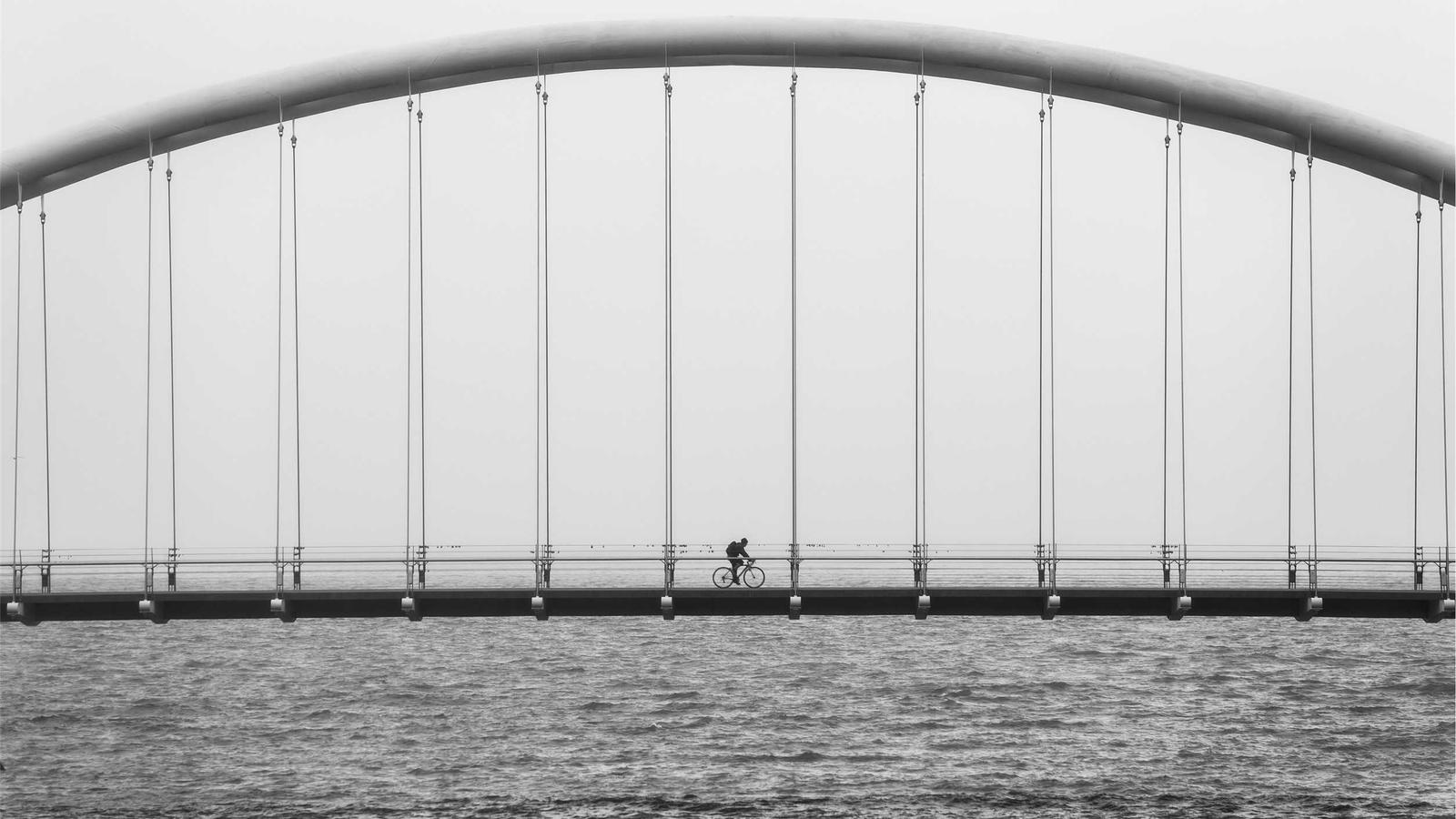 Nghệ thuật hoa đồng nội 2026