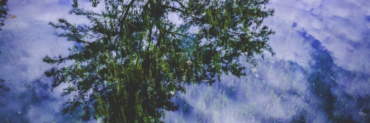 AI in Cloud Management