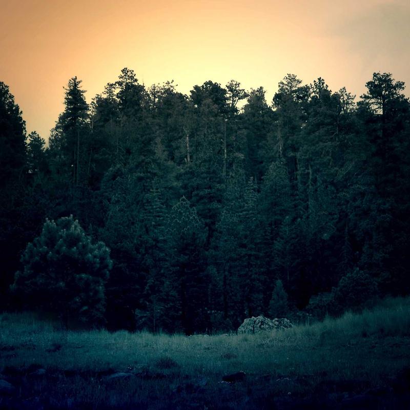 Túi Xách Da Cầm Tay Đính Đá Sang Trọng 2