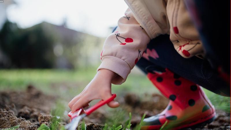 Bé học tư duy lập trình qua robot