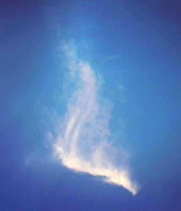 80s Pop Vinyl Collection