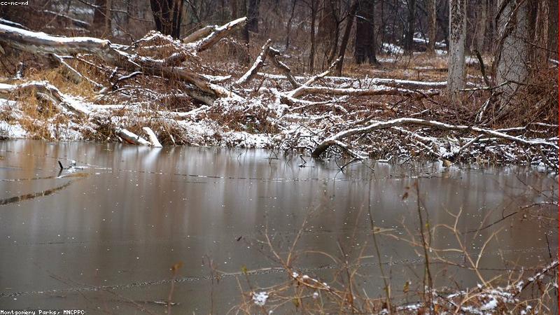 Người dùng sử dụng thiết bị khi chạy bộ