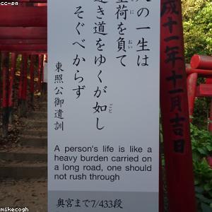 Đầu tăm thay thế