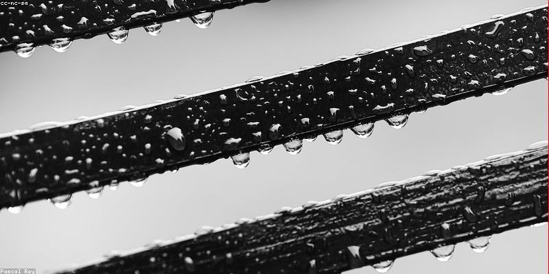 Cảm hứng thiên nhiên trong công nghệ