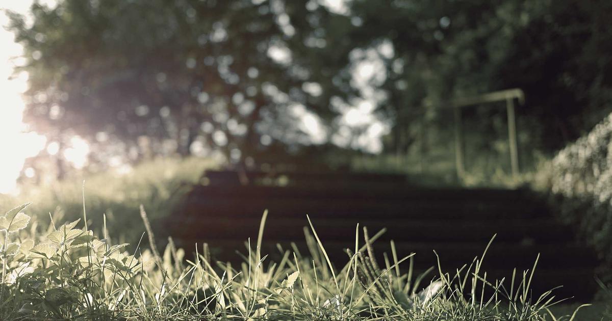 5 Xu Hướng Bất Động Sản Cao Cấp Năm 2024: Đẳng Cấp Sống Mới Tại Vertex Real Estate