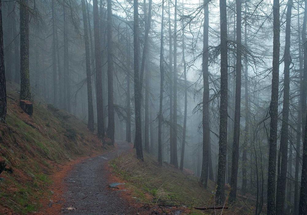 Dụng cụ Bartender mạ vàng