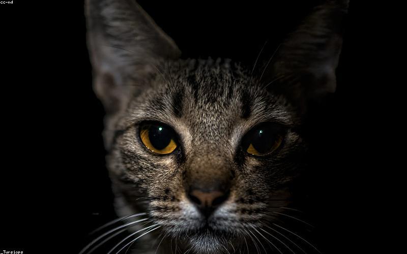 Lighting and shadows in makeup