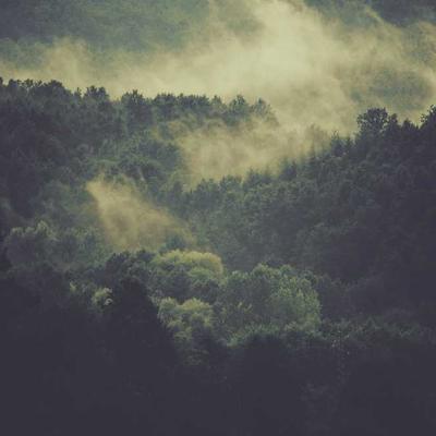 Mixology nghệ thuật 2026