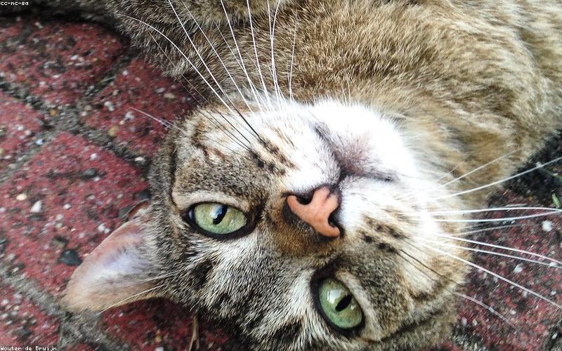 Học cụ tự nhiên cho trẻ