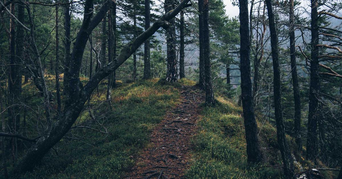 Case Study: Hành Trình 12 Tuần Phục Hồi Hàng Rào Bảo Vệ Da Của Phạm Anh Thư