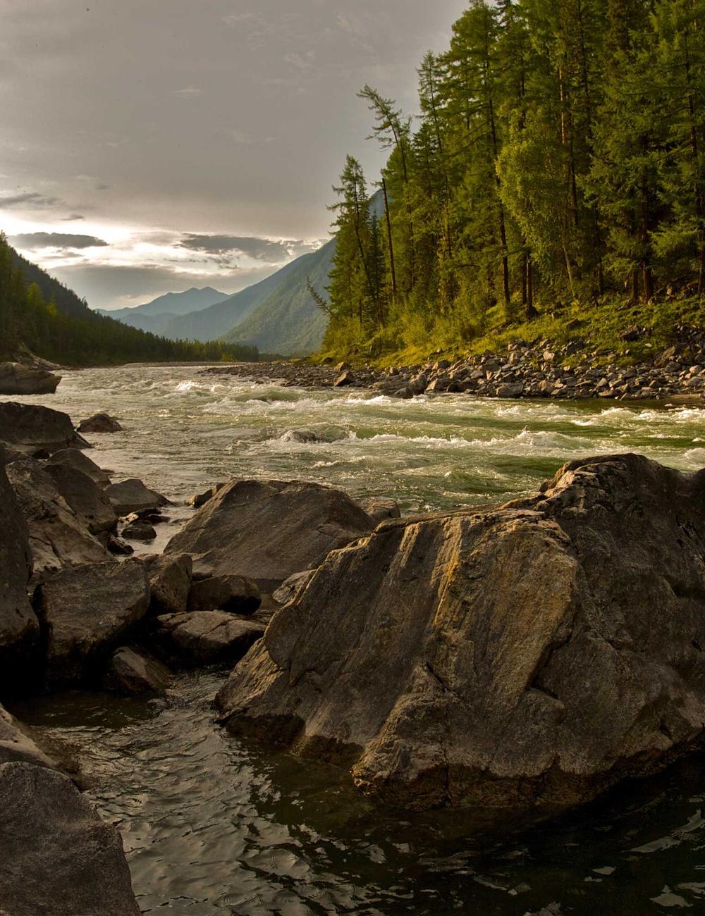 Quy trình nảy mầm từ phế phẩm