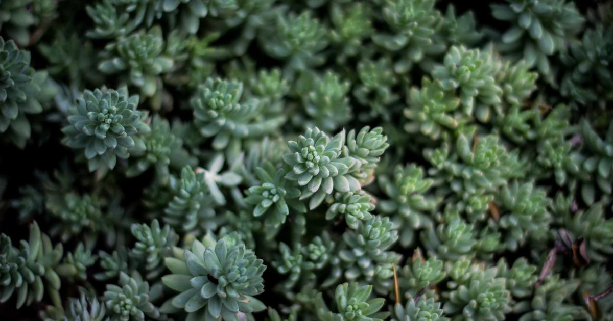 Xu hướng thiết kế website bằng AI 2024: Bước đột phá từ công nghệ anry