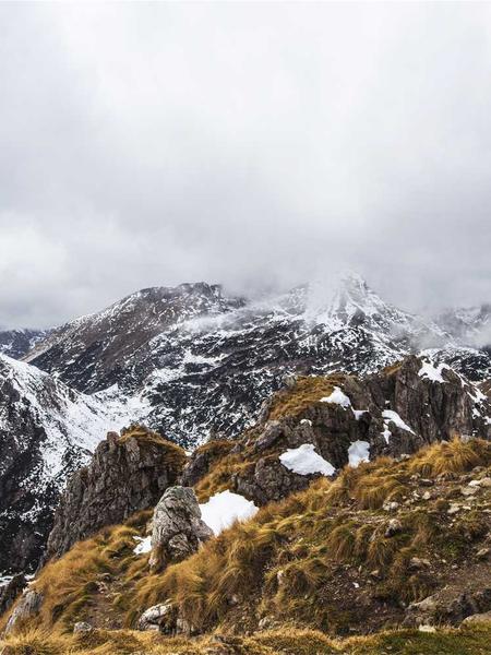 Nootropic Brew Morning