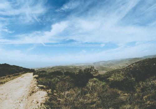 Bio-frequency sensor