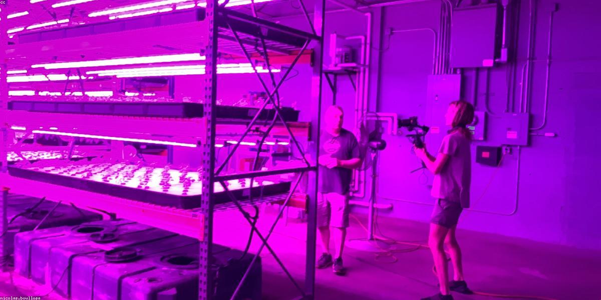 Thực phẩm hữu cơ GreenLeaf Organic tươi sạch