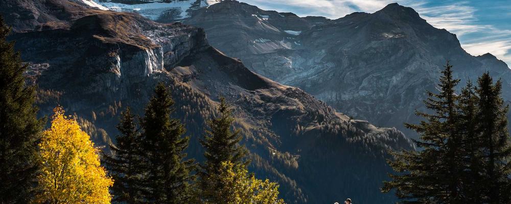 Predictive Analytics UI