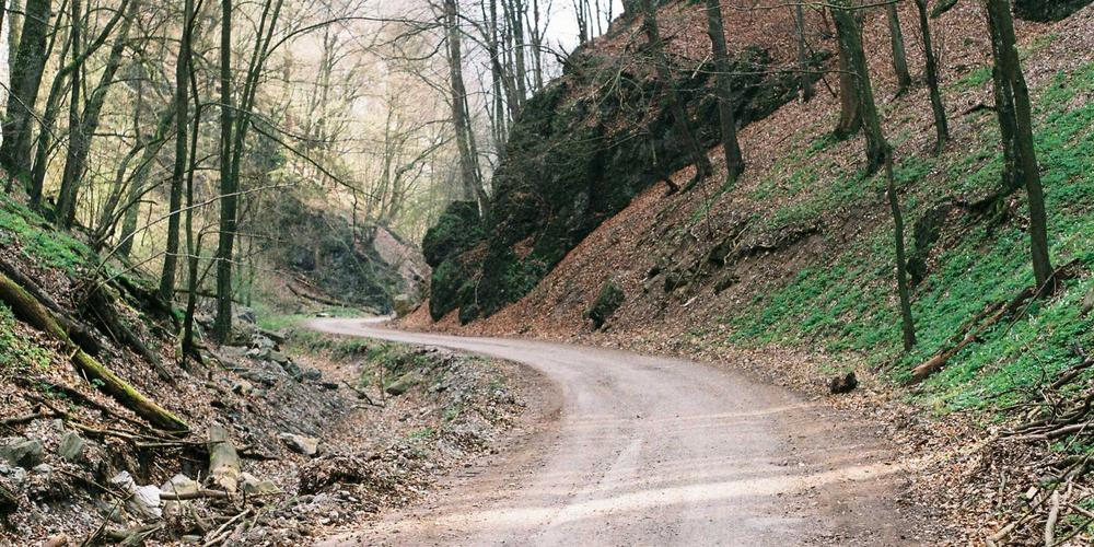 Bình minh trên núi và thảo mộc