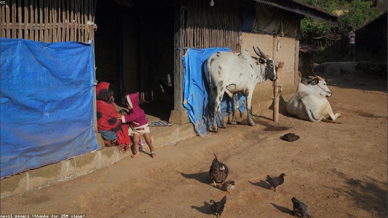 Bảo dưỡng đồ tre bằng dầu khoáng