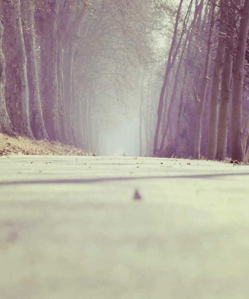 Massage phục hồi