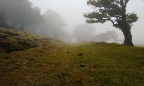 Steam Engines History