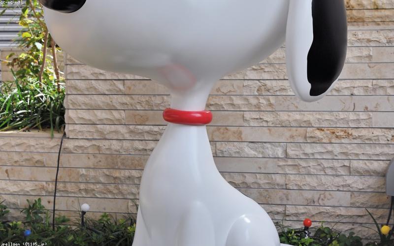 Học tập tập trung