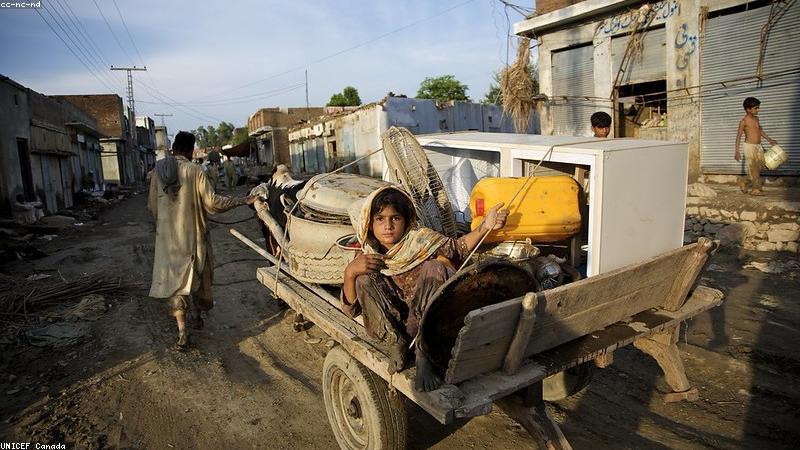 Ốp lưng bảo vệ toàn diện