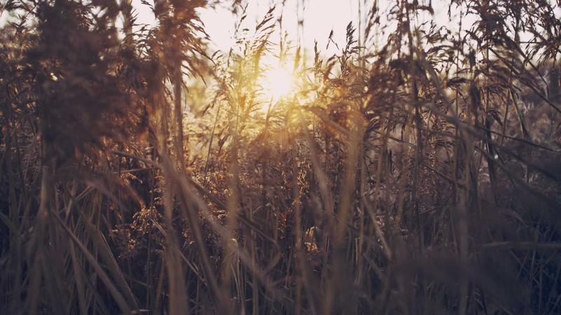 Khách hàng hài lòng TeleDoc VN